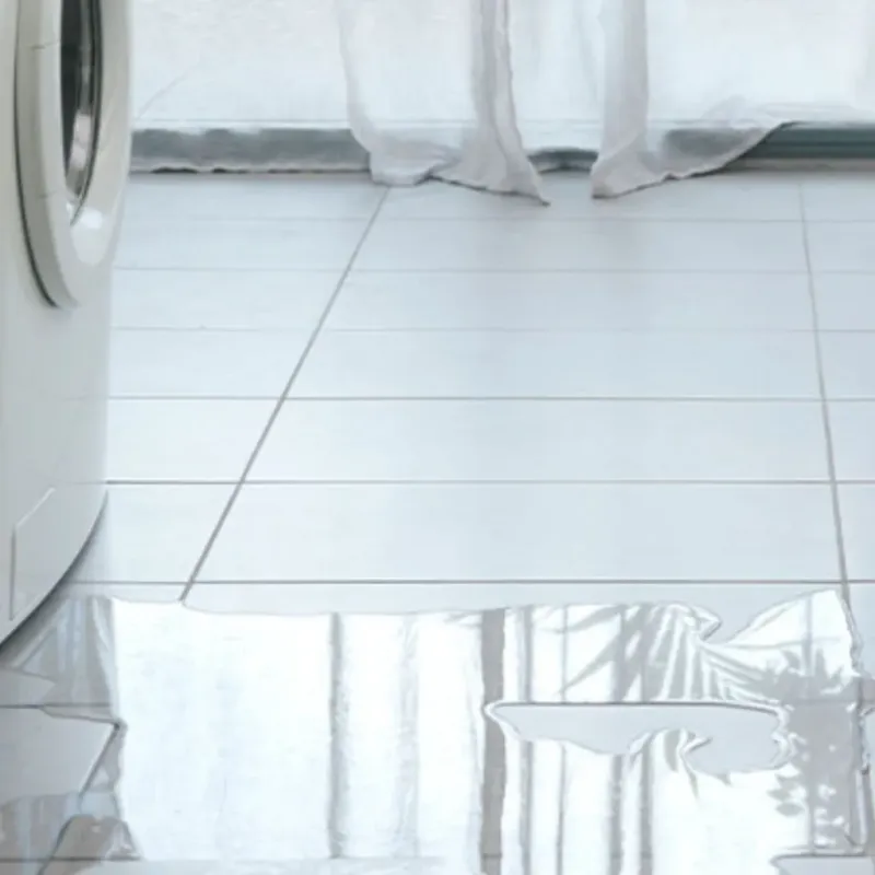 Appliance Leak Cleanup in Lenexa, KS