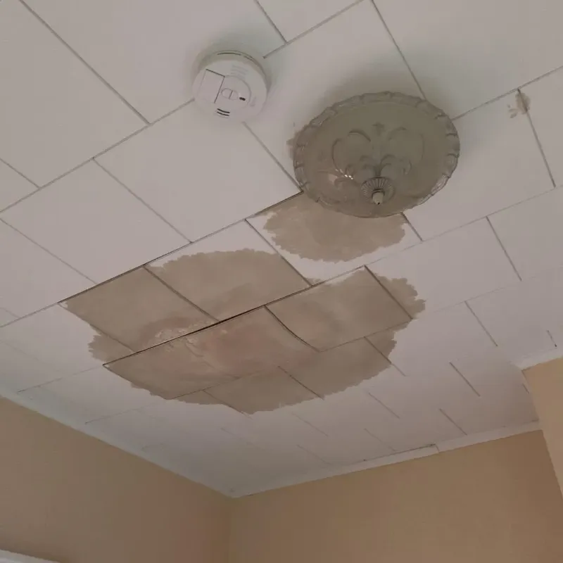 Ceiling Water Damage Repair in Lenexa, KS