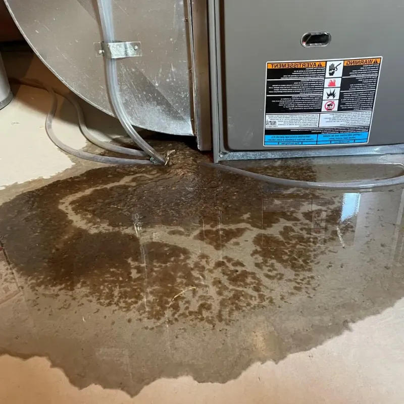 Pipe Burst and Leak Restoration in Lenexa, KS
