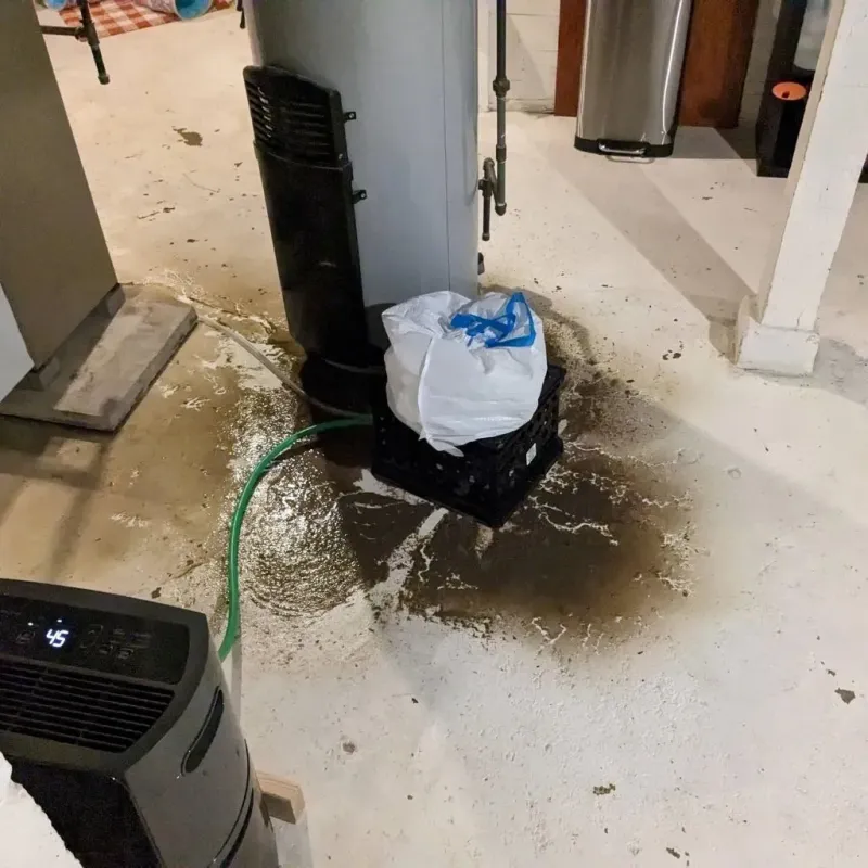 Sewage Backup Cleanup Service in Lenexa, KS